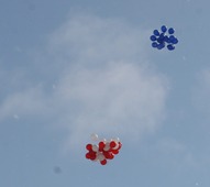 Во время акции в небо был выпущен 71 шар в цветах триколора